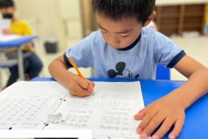 多伦多少儿中文培训班 中文学习班 线上中文教育 HSK考试准备 多伦多中文辅导班 北约克 怡陶碧谷 士嘉堡