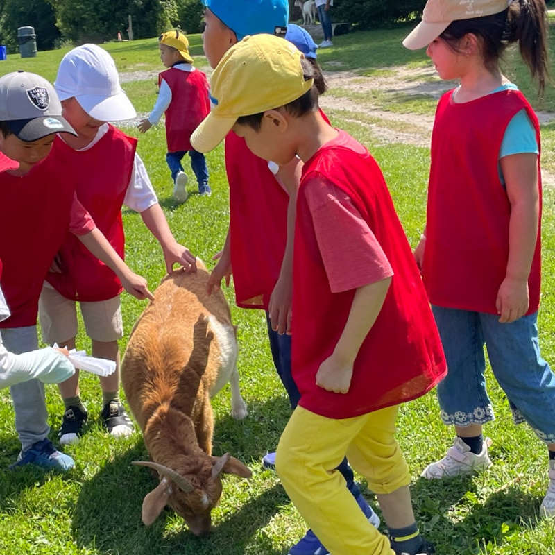 暑期夏令营 - 图片 4